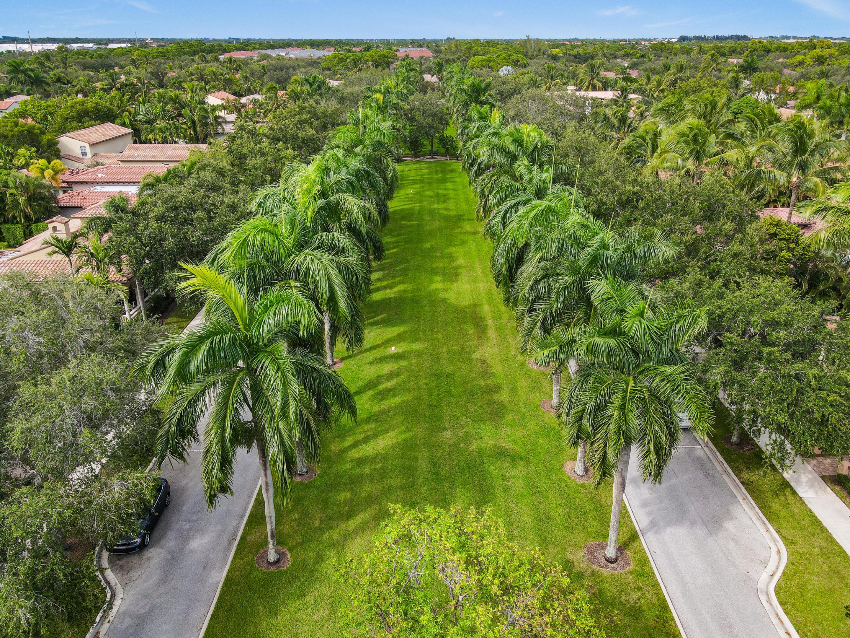 VALENCIA AT ABACOA - Residential