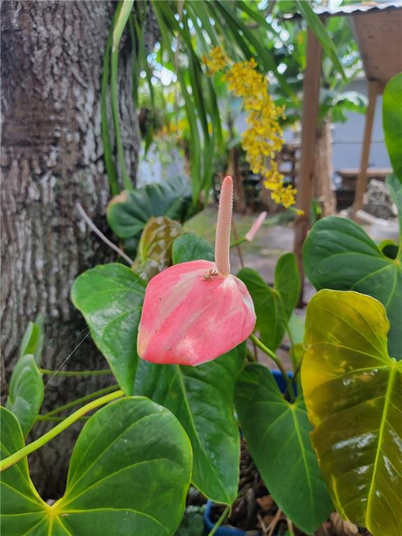 Cresthaven 2 34-49 B - Residential