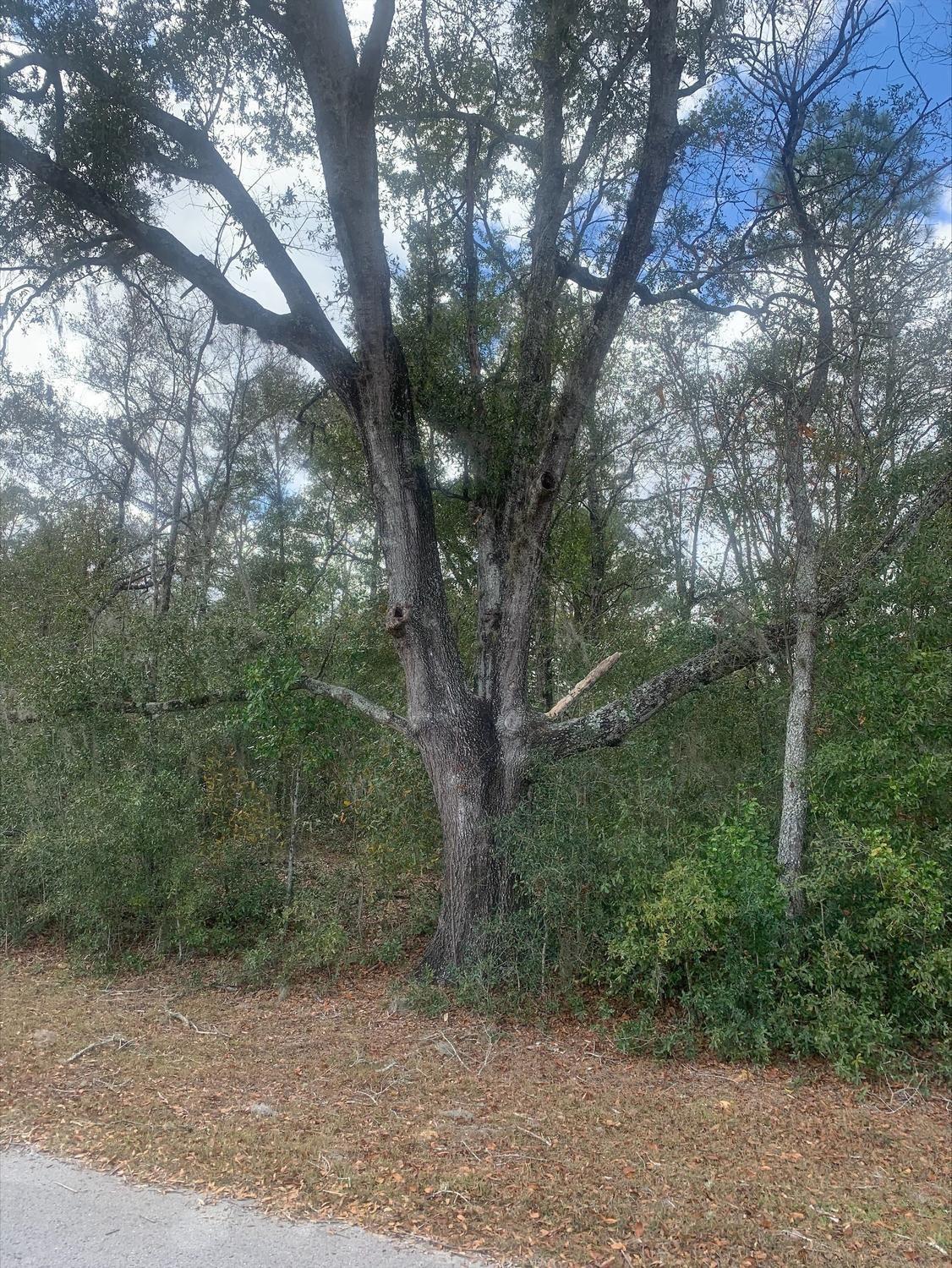 Rainbow Lake Estates - Land