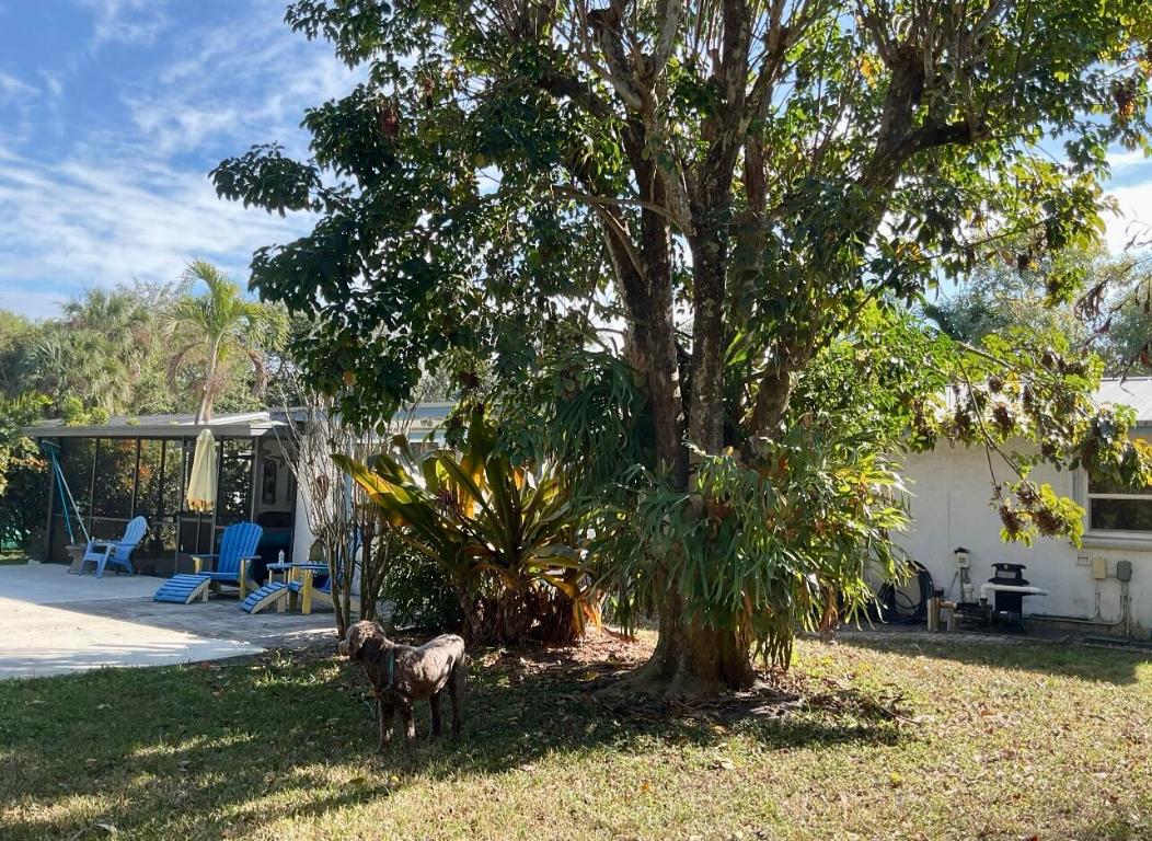 SARITA ADDITION TO BROADWAY SECTION - Residential