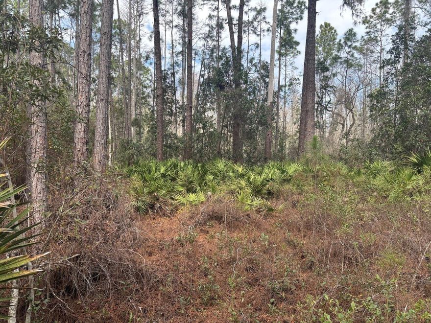 CAMP HUNT RIDE off Old Grade Road in Polk City, FL. This private two acre double lot is a blank canvas for your recreational and/or agricultural ventures. Take advantage of our owner financing with only $1,500 down and no closing costs. Keep both lots for yourself or buy together with a friend or family member