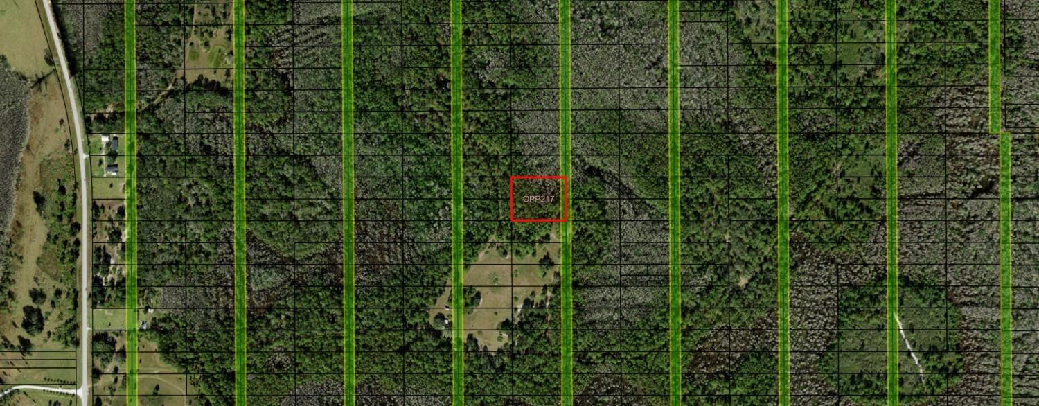 Opp217 Orlando Pines - Land