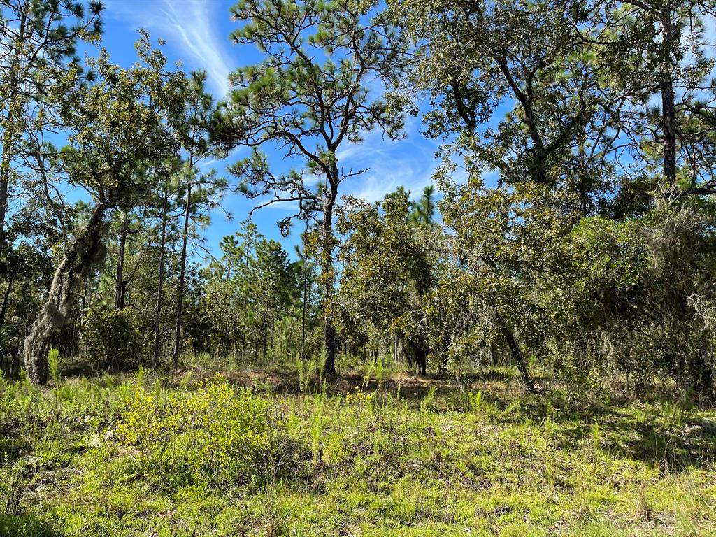 RAINBOW LAKES ESTATES - Land