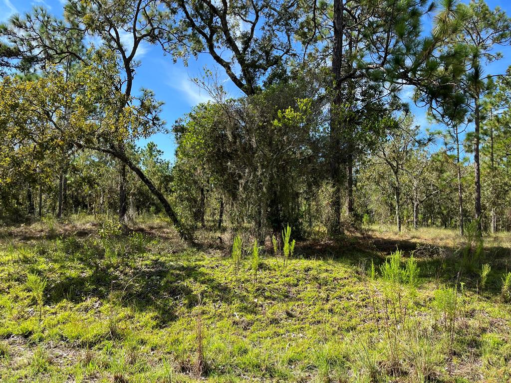 RAINBOW LAKES ESTATES - Land