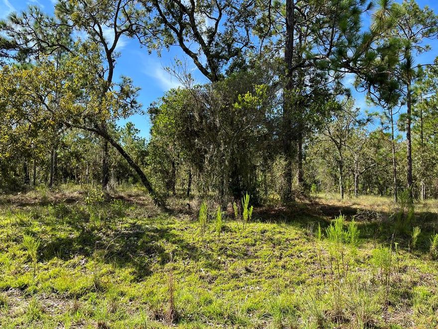 VERY NICE WOODED LOT TO BUILD YOUR DREAM HOME ON 1 Acre IN THE BEAUTIFUL COMMUNITY OF RAINBOW ACRES. IN AN AREA OF NEW HOMES. CONVENIENT TO DOWNTOWN DUNNELLON WHERE YOU WILL FIND RESTAURANTS, SHOPPING AND ANTIQUE SHOPS, OCALA, GAINESVILLE, CRYSTAL RIVER, GULF OF MEXICO AND THE BEAUTIFUL . Rainbow Springs State Park is just a short drive away where you can enjoy nature walks among the mature azaleas, bird watching, kayaking and swimming at the head of this pristine first magnitude spring. Whether your looking to build your dream home or purchase as a future investment this property checks all the boxes. owner financing available.