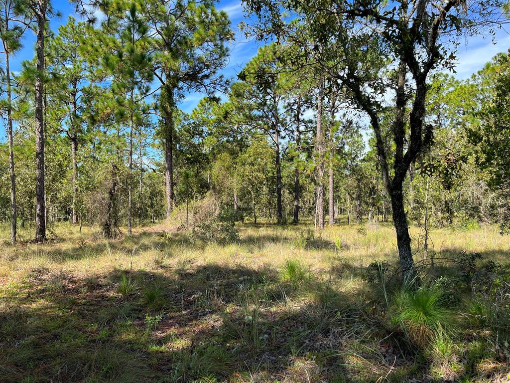 RAINBOW LAKES ESTATES - Land