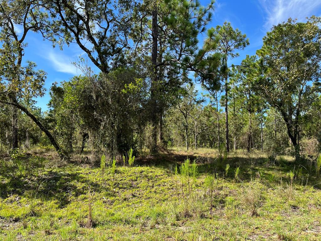 RAINBOW LAKES ESTATES - Land