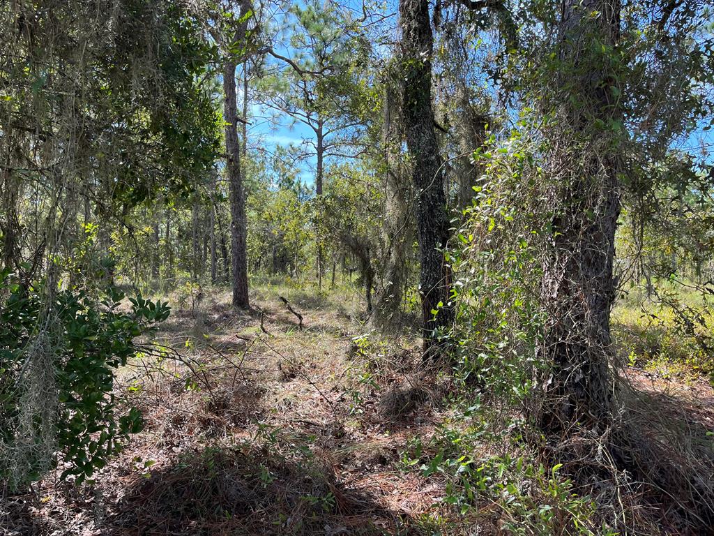 RAINBOW LAKES ESTATES - Land