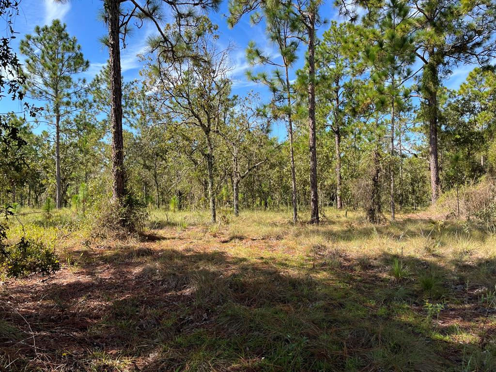 RAINBOW LAKES ESTATES - Land