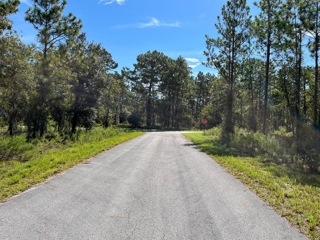 RAINBOW LAKES ESTATES - Land