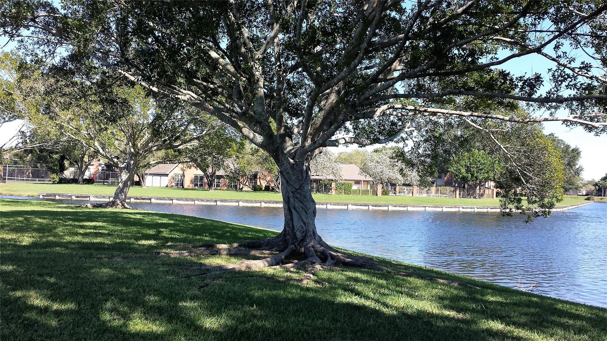 Mainlands Of Tamarac Lake - Residential Lease