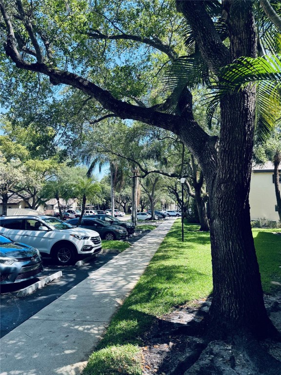 4529 Carambola Circle 4529