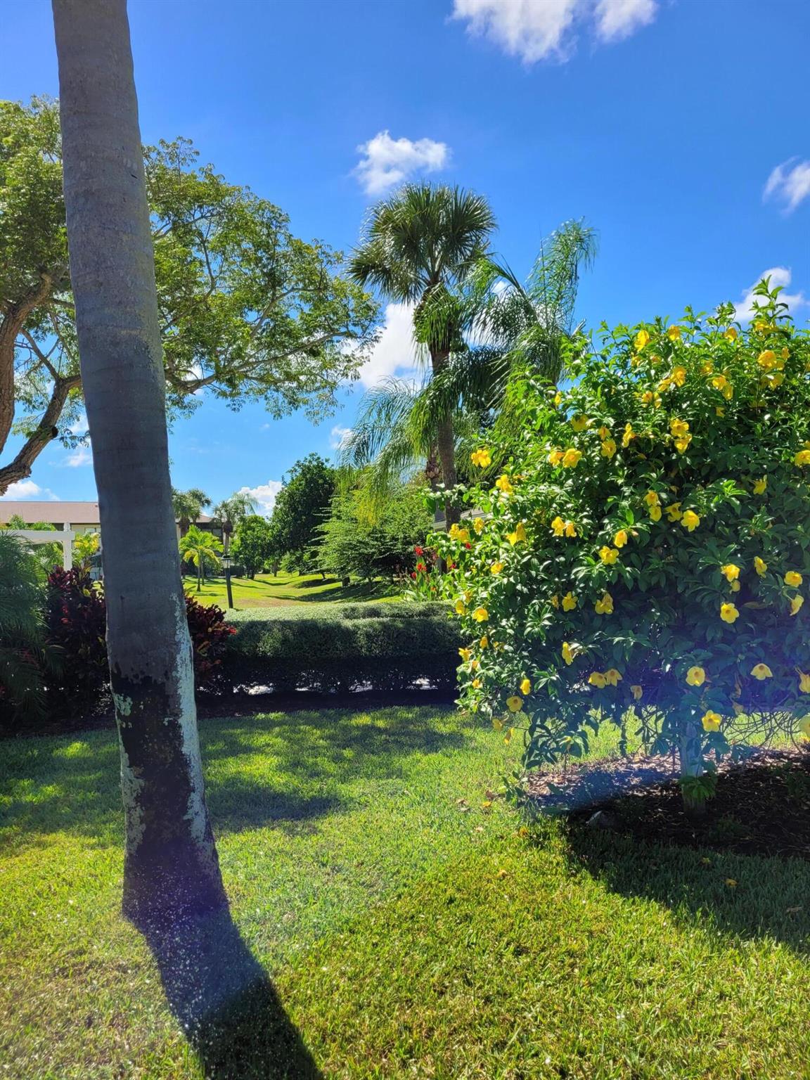 KINGSWOOD 3 - Residential