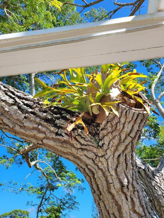 KINGSWOOD 3 - Residential