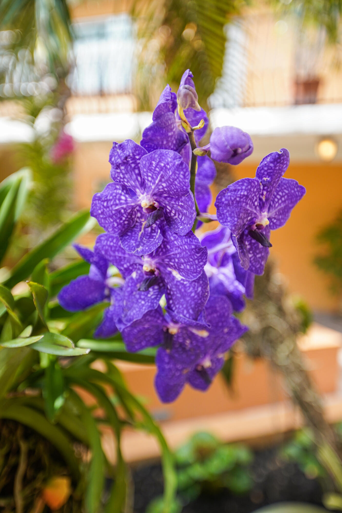 1111 E Las Olas Boulevard 410