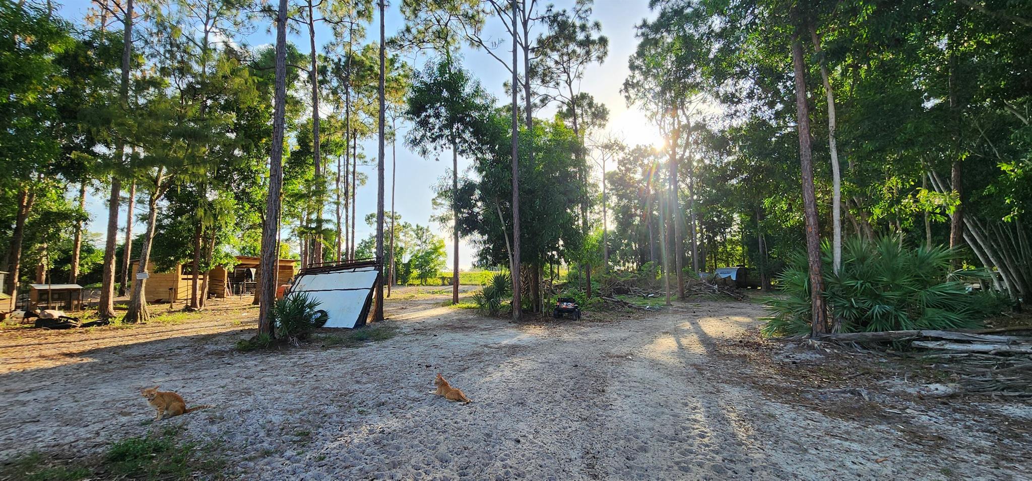 3335 Dellwood Road