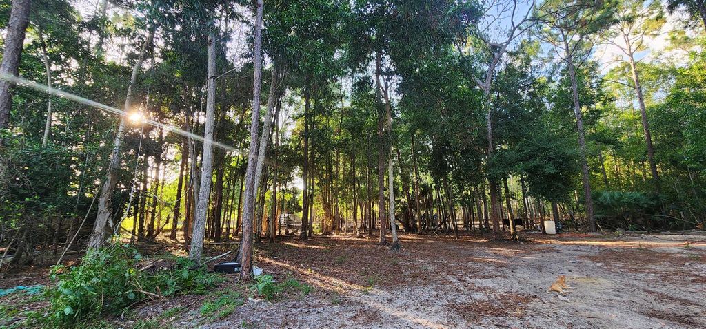 Photo of 3335 Dellwood Road, Loxahatchee, FL 33470 (MLS # R11111706)