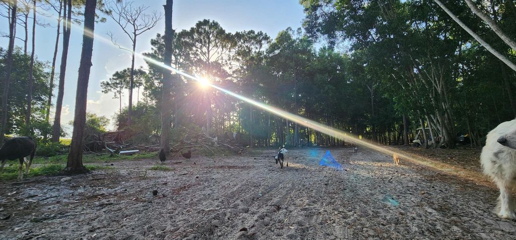 Photo of 3335 Dellwood Road, Loxahatchee, FL 33470 (MLS # R11111706)