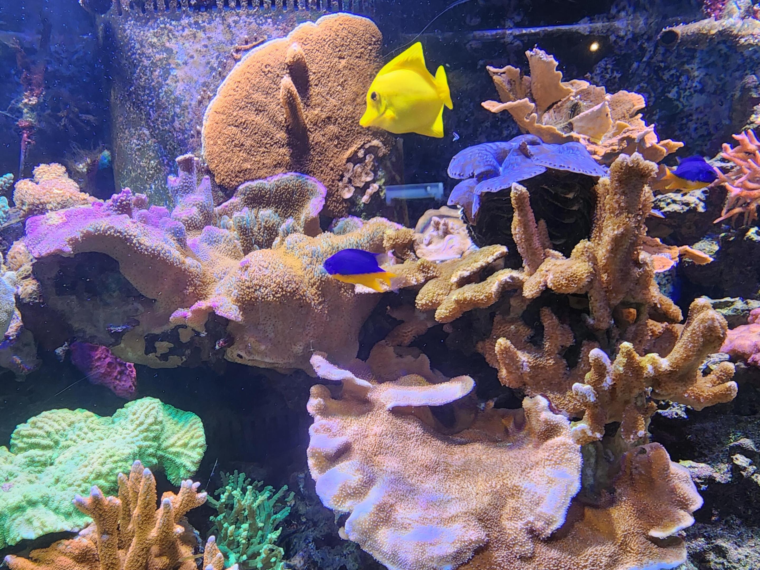 PORT ST LUCIE SECTION 18 - Residential