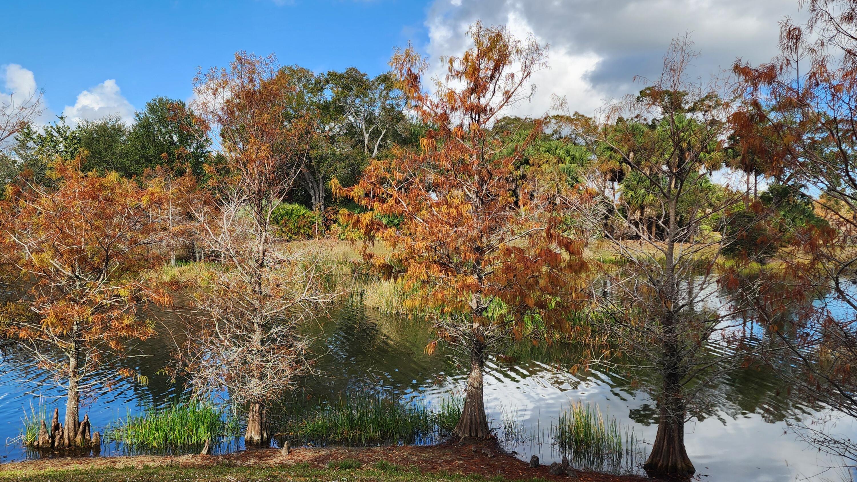 PORT ST LUCIE SECTION 18 - Residential