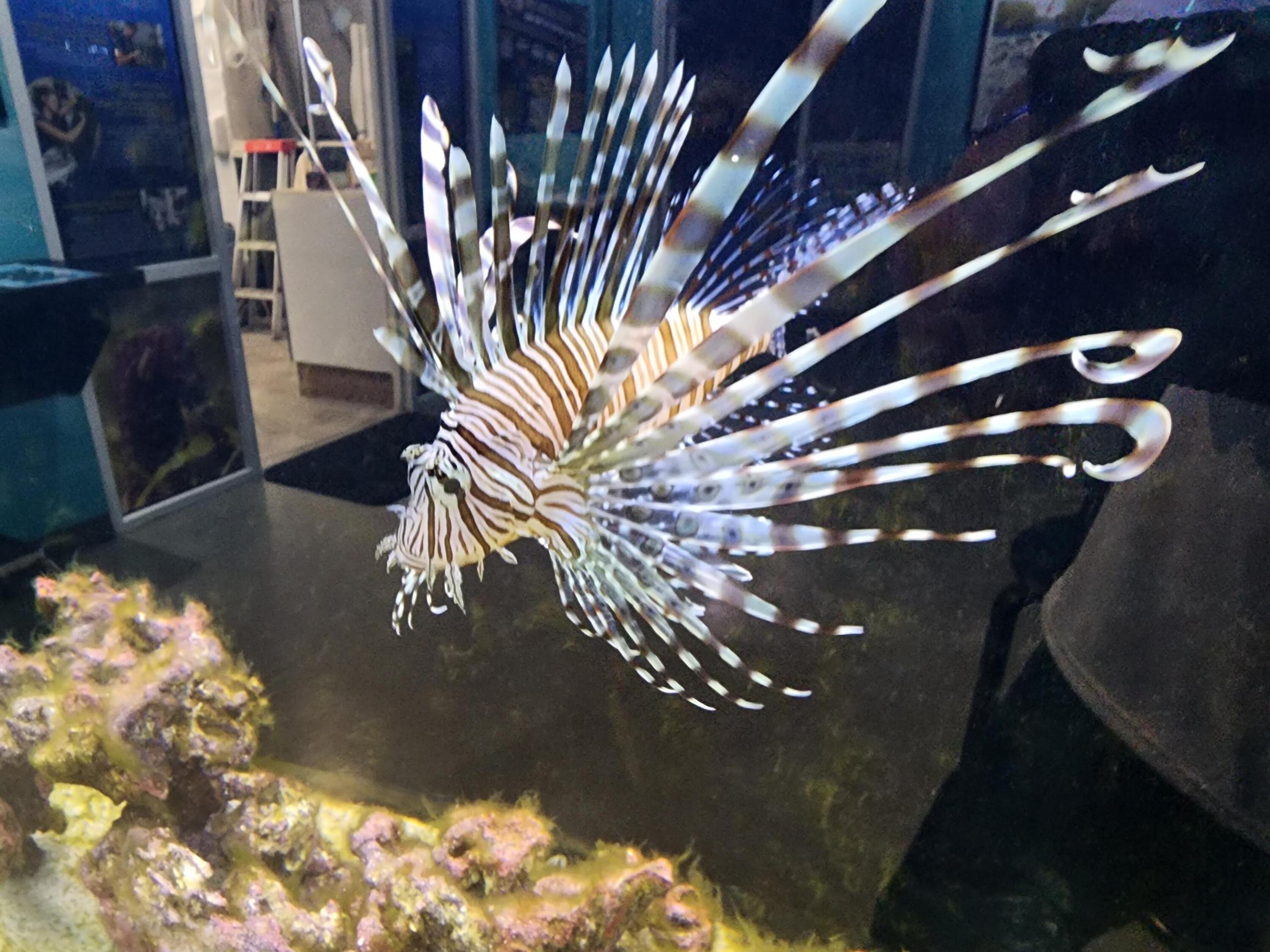 PORT ST LUCIE SECTION 18 - Residential