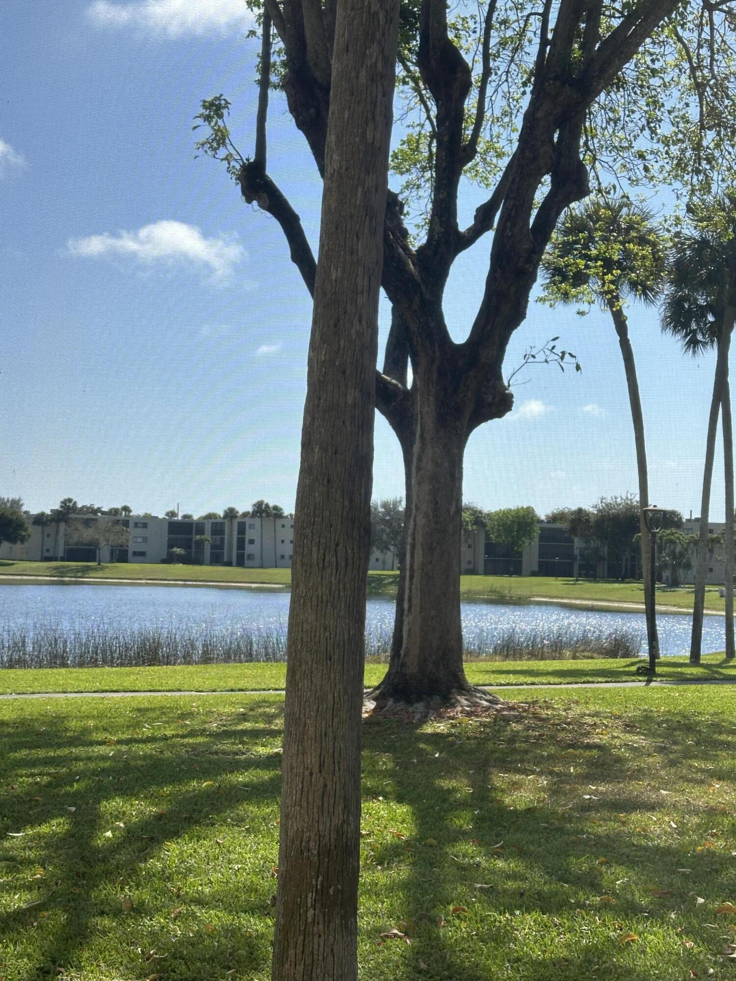 PALMETTO CONDO - Residential