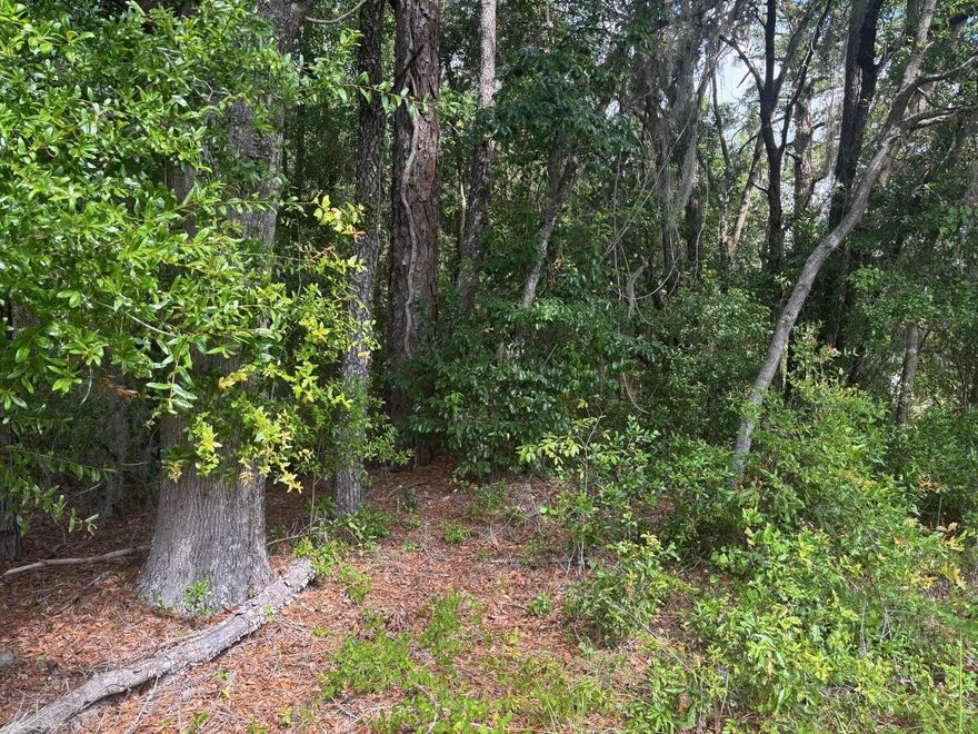 Discover the perfect opportunity to create your dream home on this beautiful residential lot in Ocala, Florida. Nestled in a peaceful and desirable area, this property offers the ideal combination of tranquility and convenience. The adjacent lot is also available for sale.
Owner finance with only $2,500 down