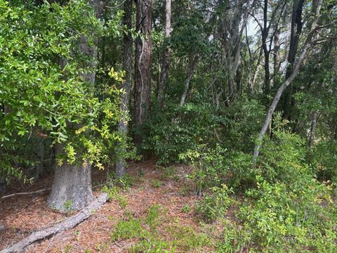 0 SW 30th place Ocala FL 34481