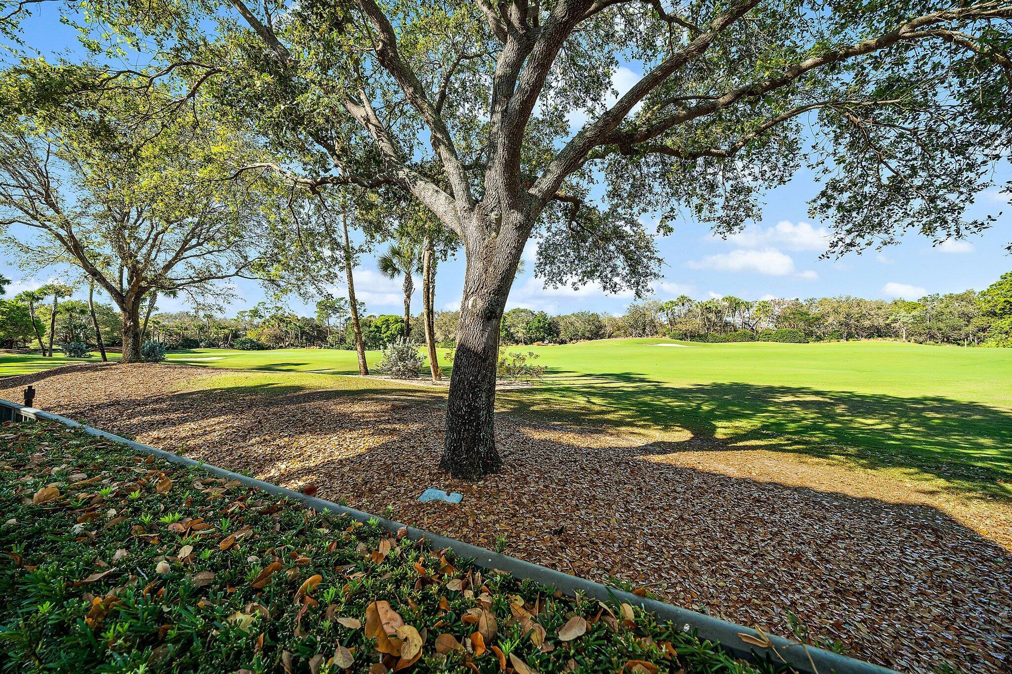 Old Palm - Residential