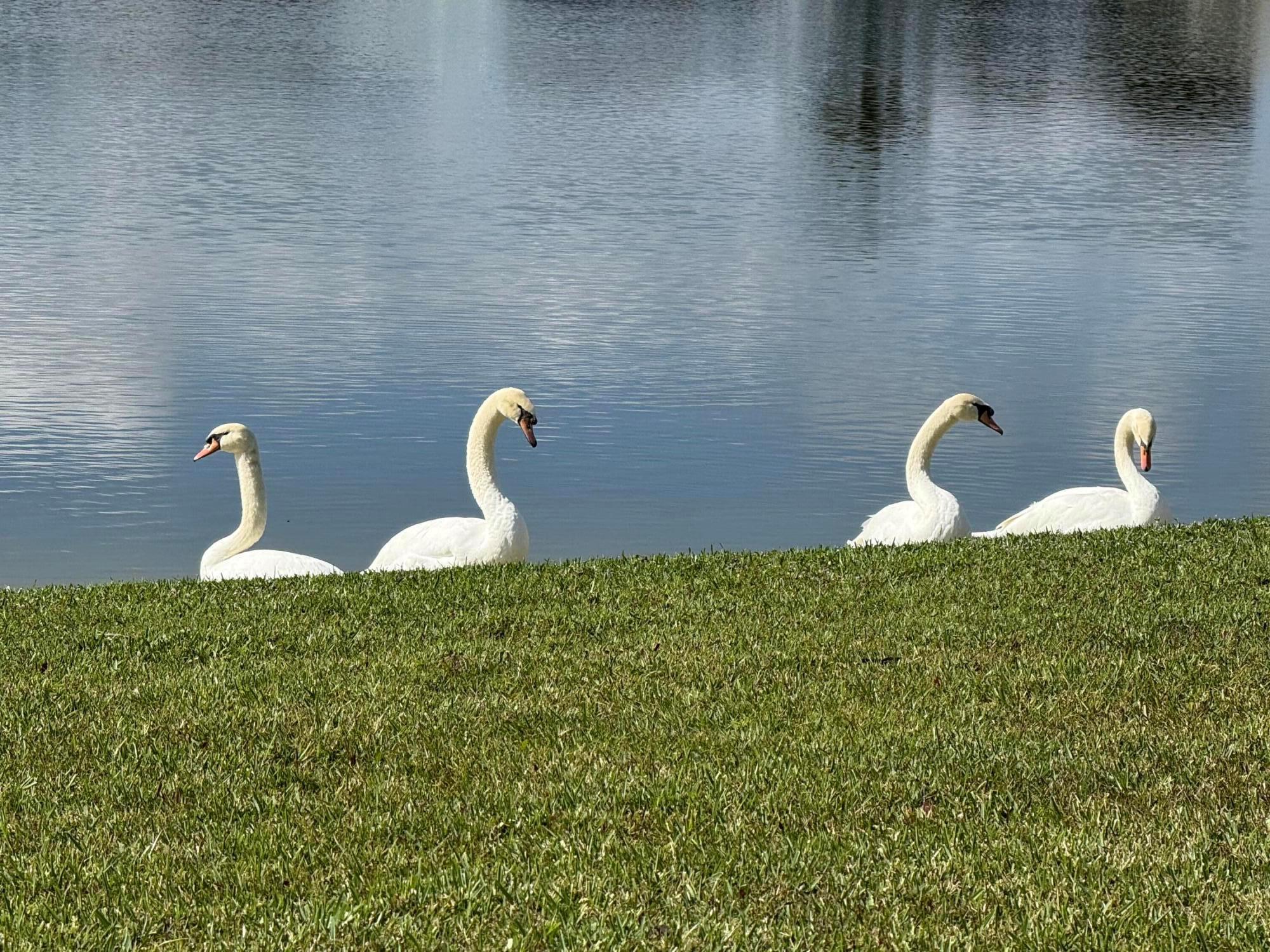 ST LUCIE FALLS (AKA RIVER - Residential Lease