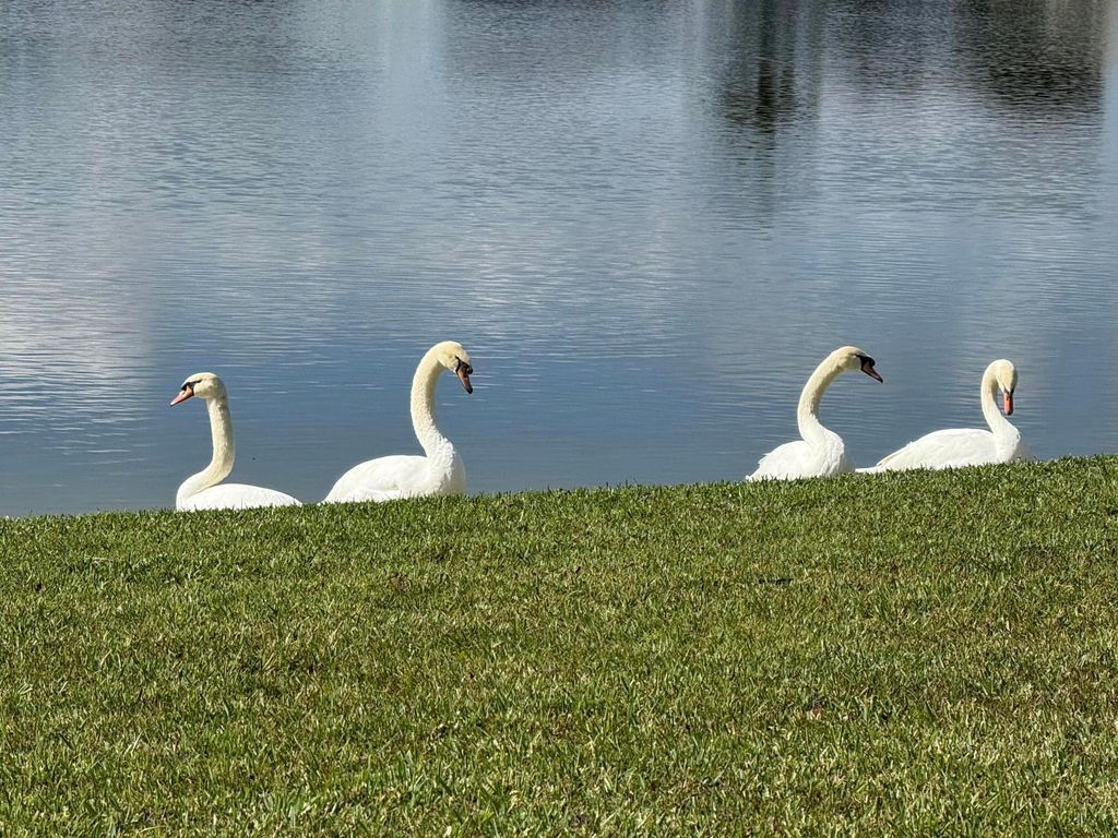 Photo of 8913 SW Chevy Circle, Stuart, FL 34997 (MLS # R11146278)