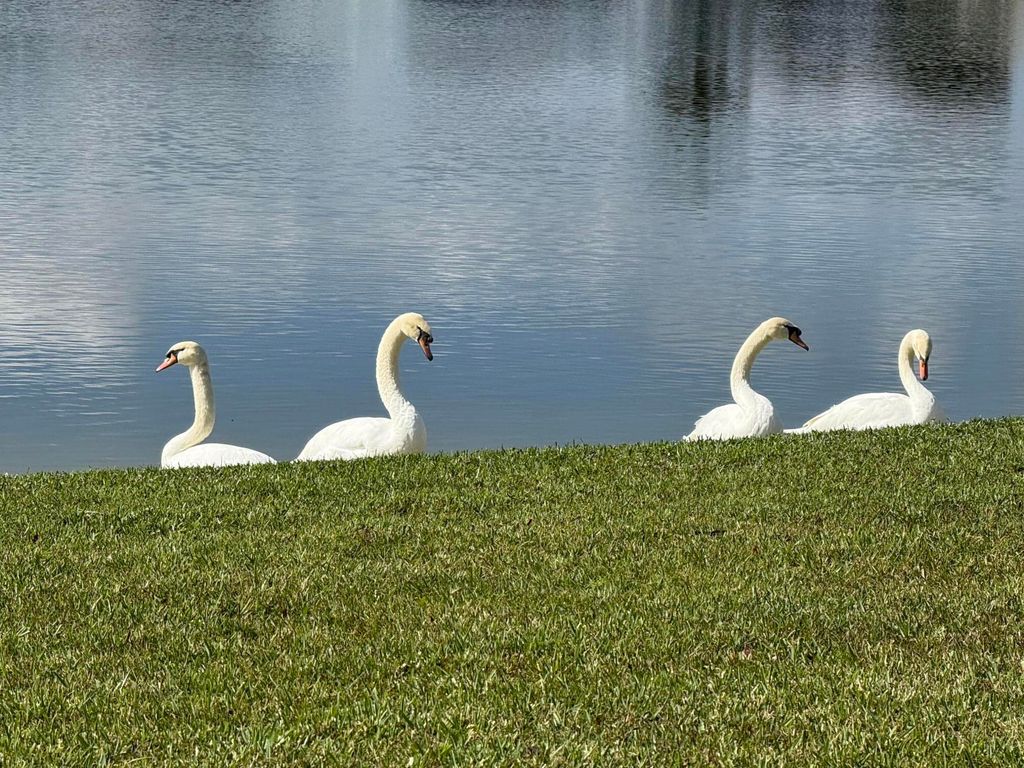 Photo of 8913 SW Chevy Circle, Stuart, FL 34997 (MLS # R11146278)