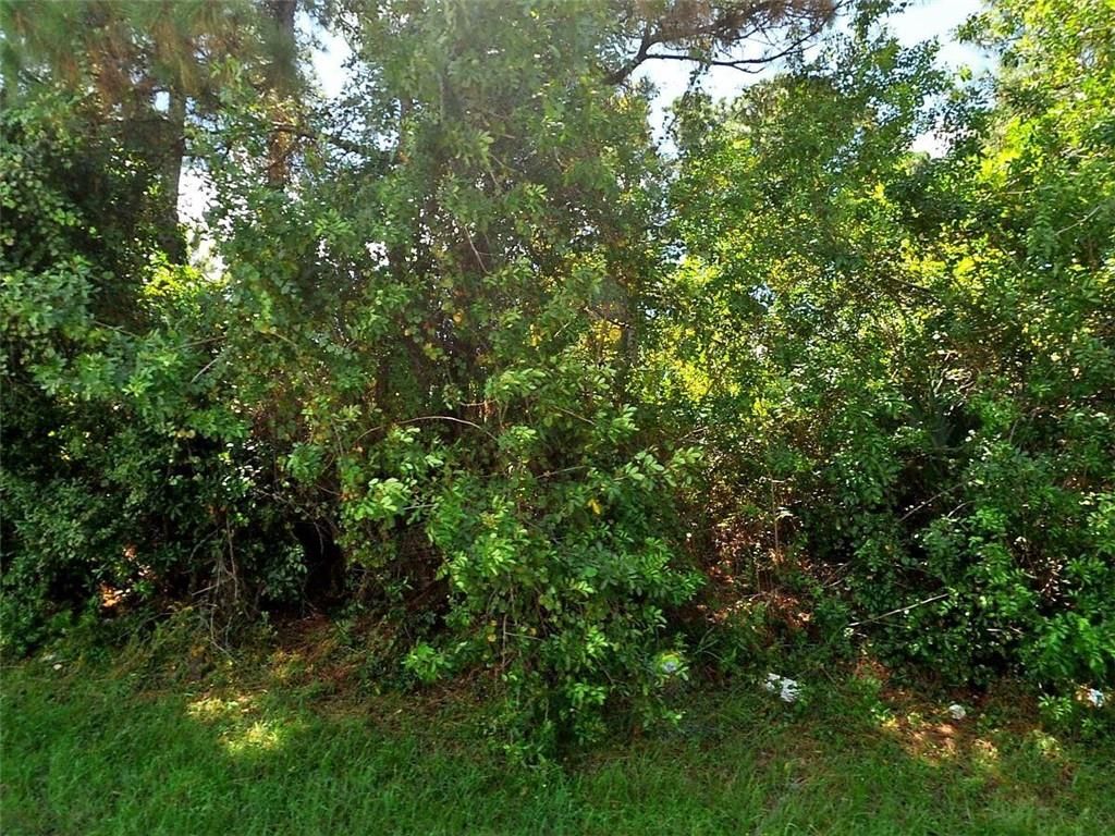 Photo of 1742 SW Whipple Ave, Port Saint Lucie, FL 34953 (MLS # F10278533)