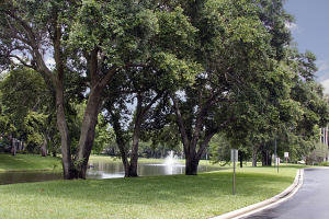 OAKS-SUNTERRACE 1 - Residential Lease