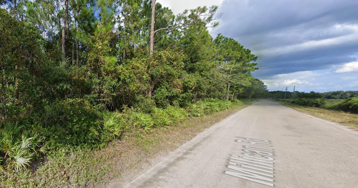 RIO DE ST JOHNS - Land