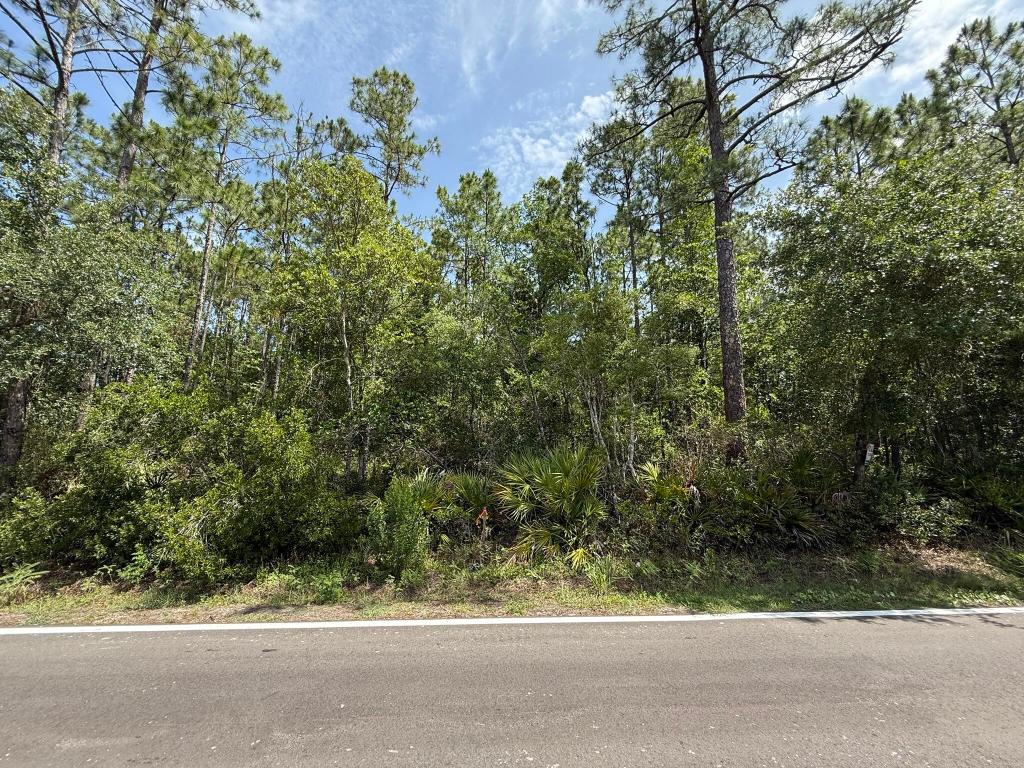 RIO DE ST JOHNS - Land