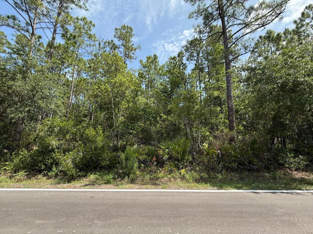 RIO DE ST JOHNS - Land