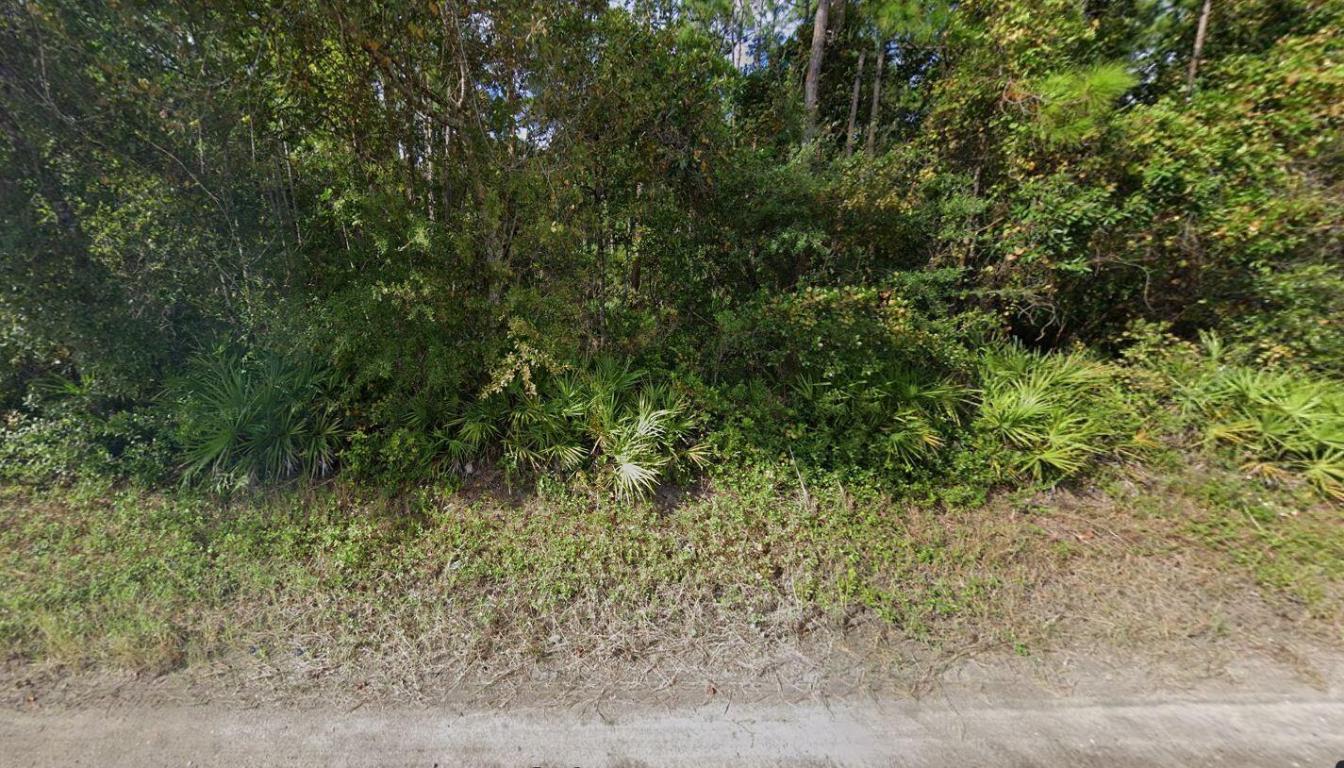 RIO DE ST JOHNS - Land