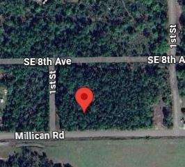 RIO DE ST JOHNS - Land