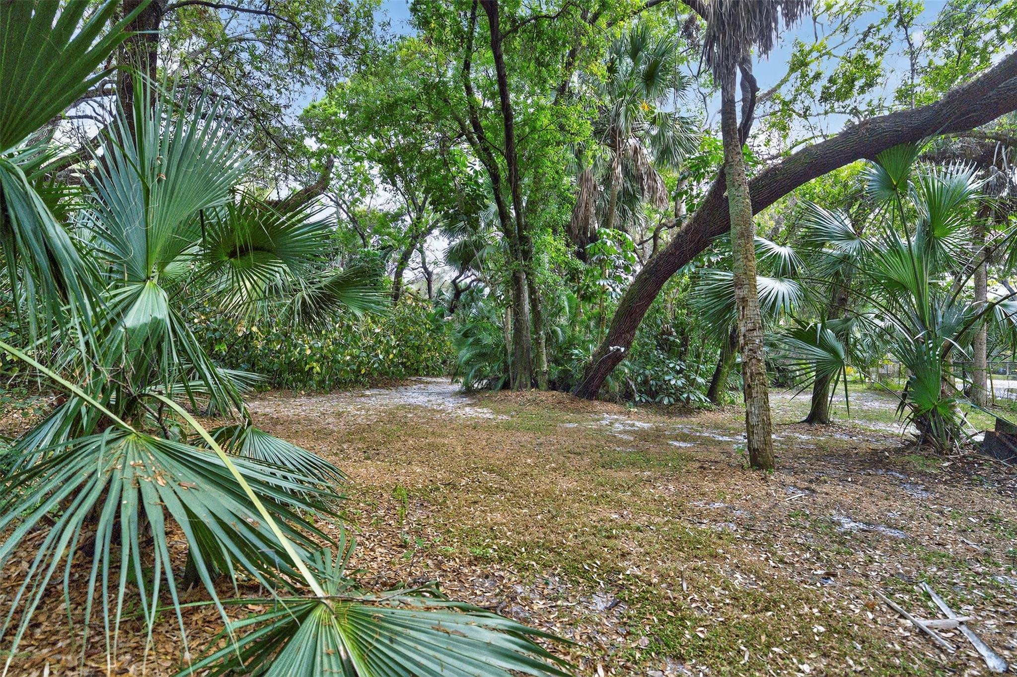 Oaklane 1st Add 80-7 B - Land