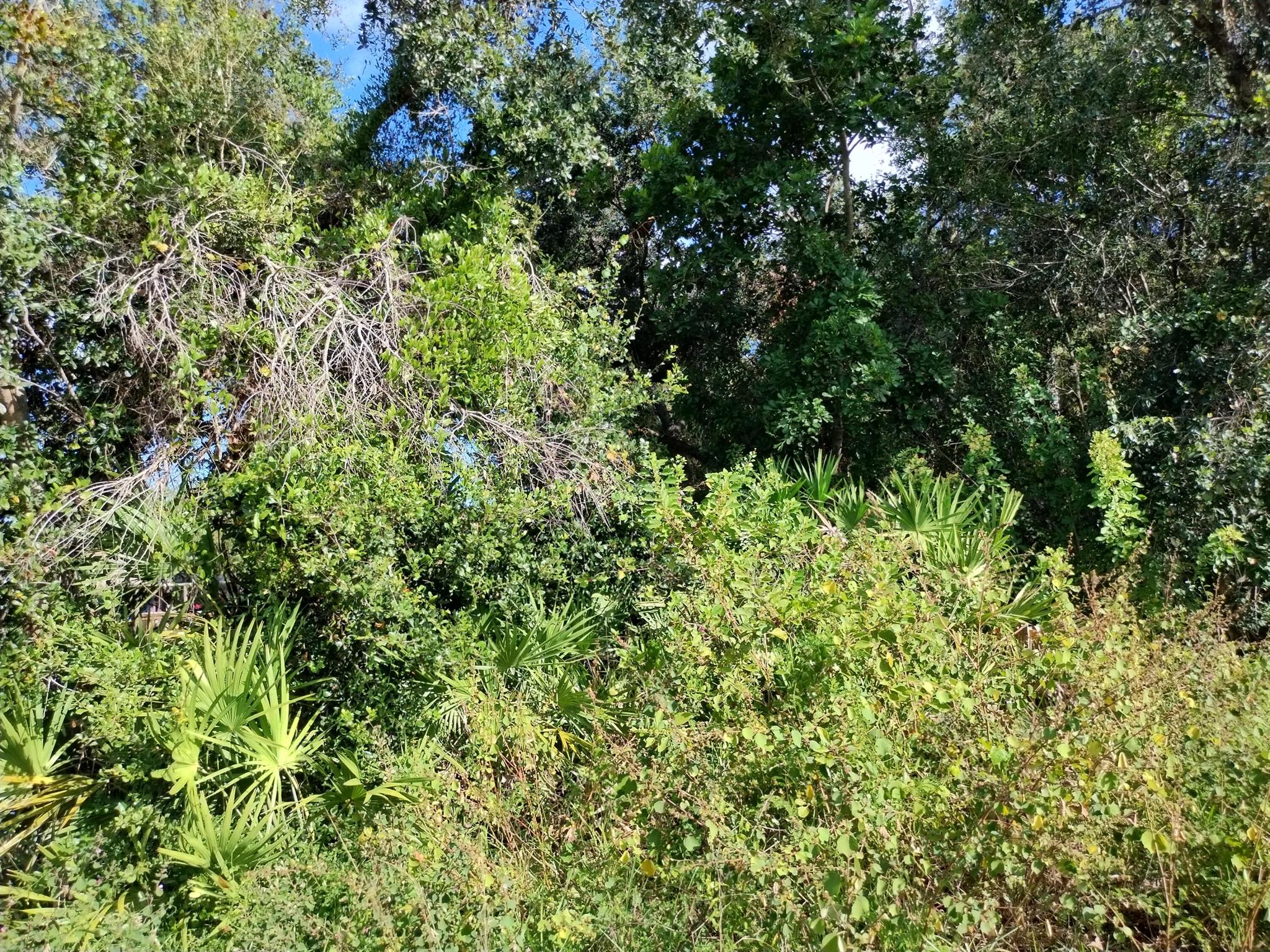 PORT ST LUCIE SECTION 12 - Land