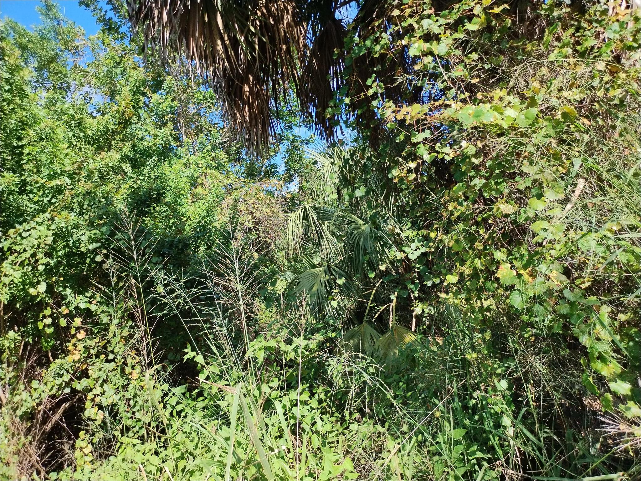 PORT ST LUCIE SECTION 12 - Land