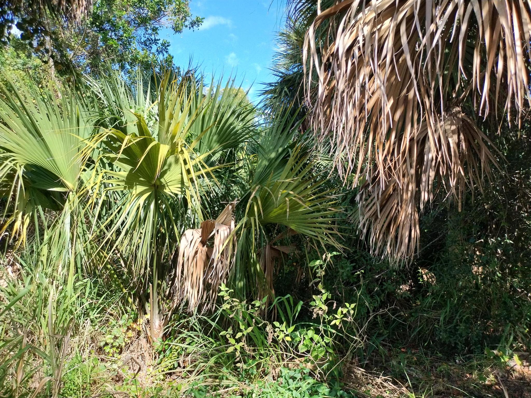 PORT ST LUCIE SECTION 12 - Land