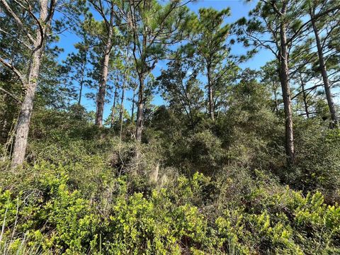 159 Deer Road Satsuma FL 32189