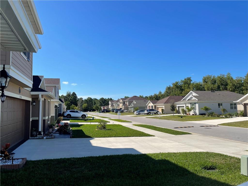 Pine Trace - Residential