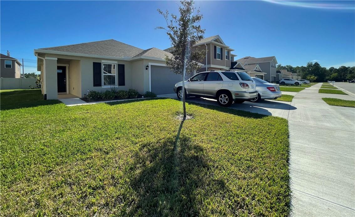 Pine Trace - Residential