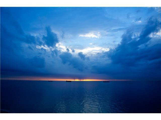 Coconut Grove Condo - Residential