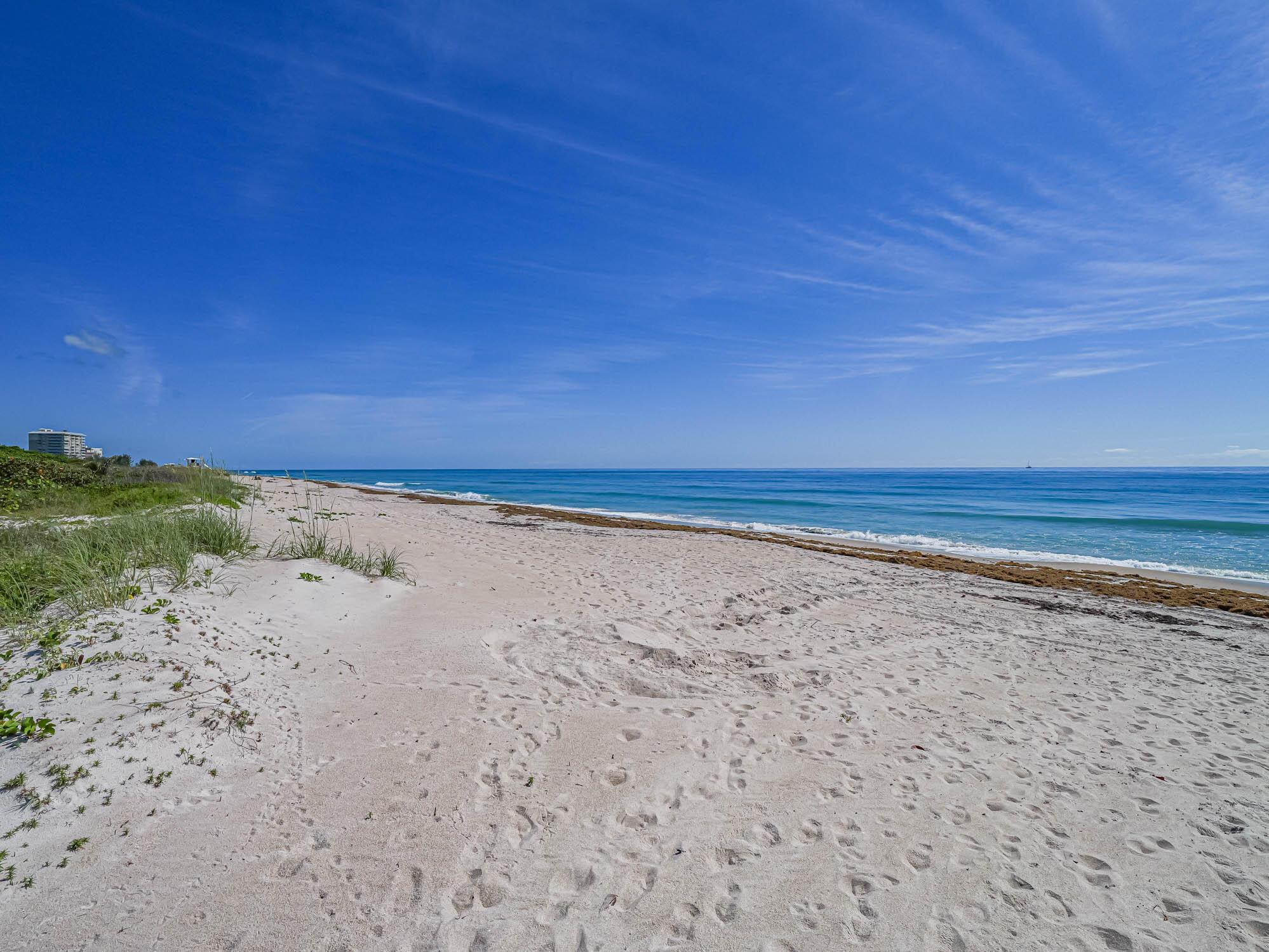 SEA PALMS CONDOMINIUM - Residential Lease