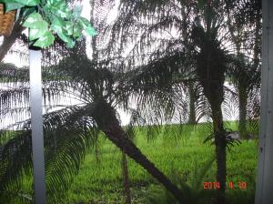 Parkwalk 1 - Residential