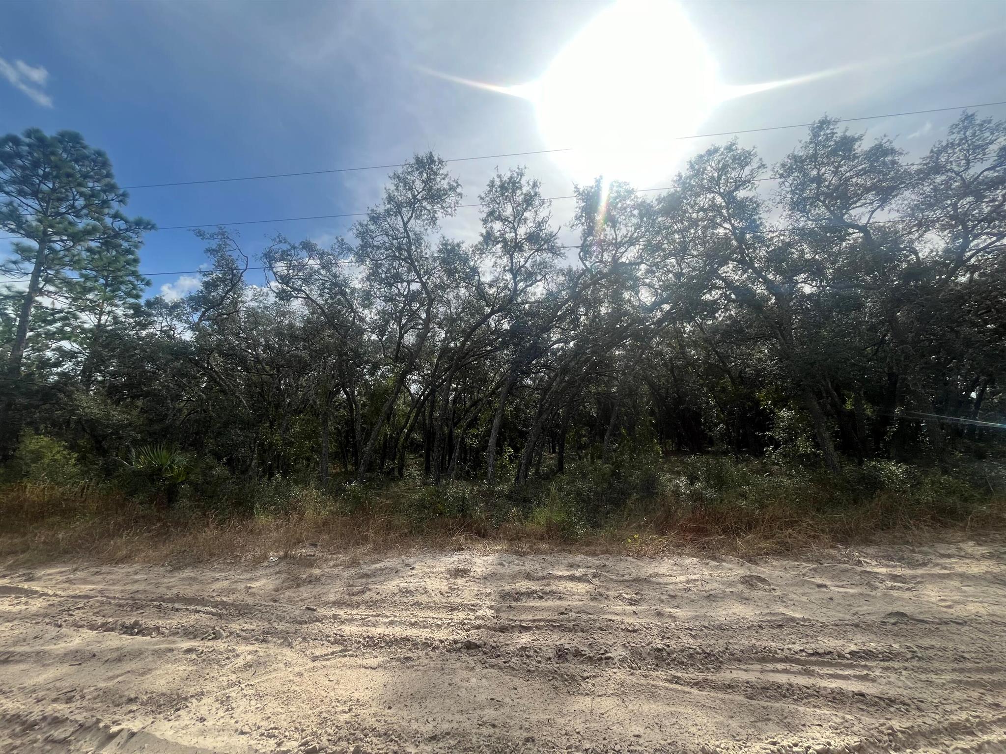 Build or bring your dream home to this beautiful high and dry 1.68 lot in desirable Homosassa, FL. This is an area that will allow a mobile home or a site-built home. No HOA or deed restrictions. This location is just minutes to get to all the nearest shops or restaurants in town and just a short drive to the Suncoast Parkway to be in the big cities like Tampa or St. Pete!! If you love being near the water, then this is the perfect lot for you. It is a short drive to the Homosassa Springs, Crystal River, and the Gulf. This property won't last long! Call today to make it your own.